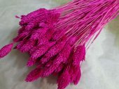 TALARIS 80-100GR MAGENTA