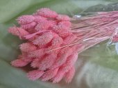 TALARIS 80-100GR ROZ 