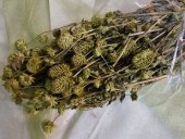 TRIFOI VERDE 120GR